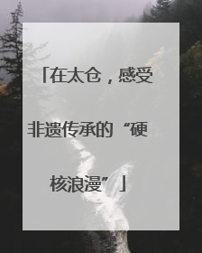 在太仓，感受非遗传承的“硬核浪漫”