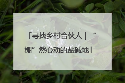 寻找乡村合伙人｜“棚”然心动的盐碱地