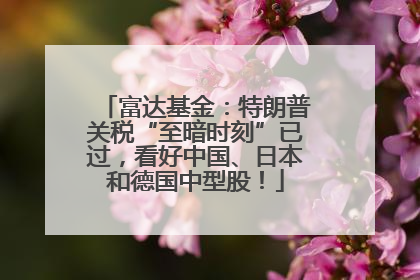 富达基金：特朗普关税“至暗时刻”已过，看好中国、日本和德国中型股！