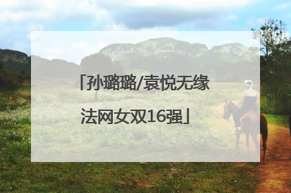 孙璐璐/袁悦无缘法网女双16强