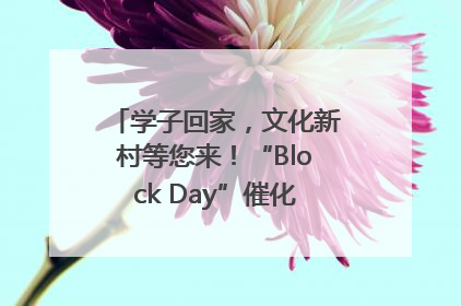 学子回家，文化新村等您来！“Block Day”催化学院式街区新生态