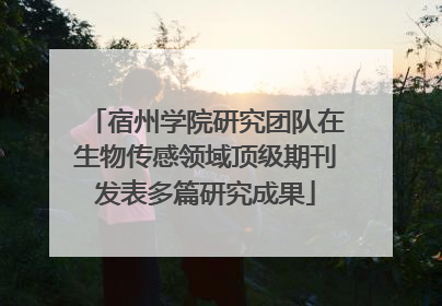 宿州学院研究团队在生物传感领域顶级期刊发表多篇研究成果