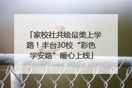 家校社共绘最美上学路！丰台30校“彩色学安路”暖心上线