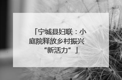 宁城县妇联：小庭院释放乡村振兴“新活力”