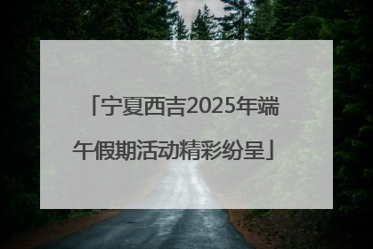 宁夏西吉2025年端午假期活动精彩纷呈