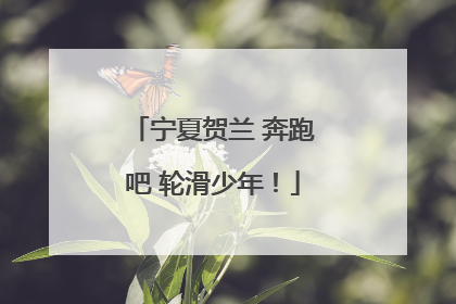 宁夏贺兰 奔跑吧 轮滑少年！