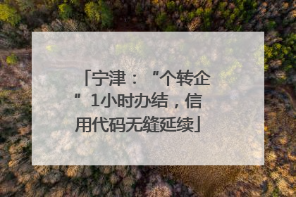 宁津：“个转企”1小时办结，信用代码无缝延续