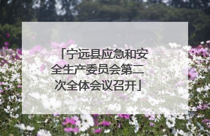 宁远县应急和安全生产委员会第二次全体会议召开