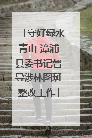 守好绿水青山 漳浦县委书记督导涉林图斑整改工作