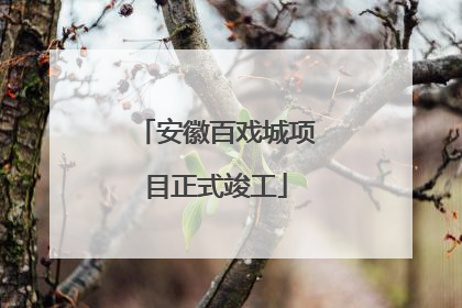 安徽百戏城项目正式竣工