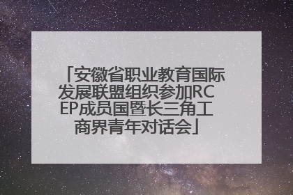 安徽省职业教育国际发展联盟组织参加RCEP成员国暨长三角工商界青年对话会
