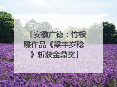 安徽广德：竹根雕作品《梁丰岁稔》斩获金鼎奖