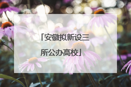 安徽拟新设三所公办高校
