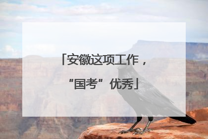 安徽这项工作，“国考”优秀