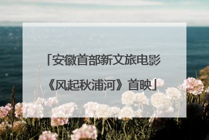 安徽首部新文旅电影《风起秋浦河》首映
