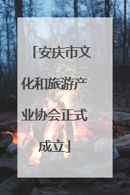 安庆市文化和旅游产业协会正式成立