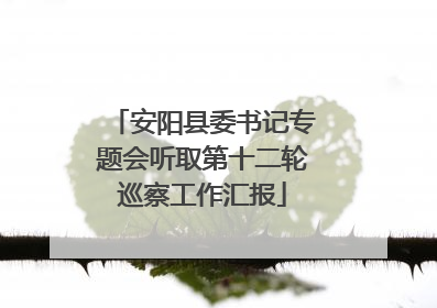 安阳县委书记专题会听取第十二轮巡察工作汇报