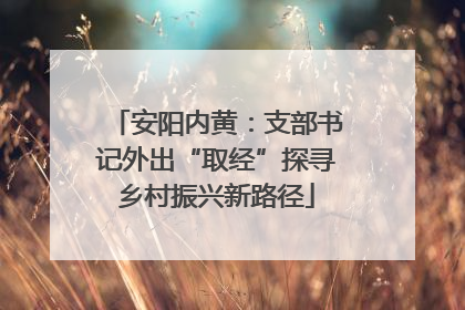 安阳内黄：支部书记外出“取经”探寻乡村振兴新路径