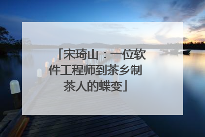 宋琦山：一位软件工程师到茶乡制茶人的蝶变