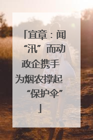 宜章：闻“汛”而动 政企携手为烟农撑起“保护伞”