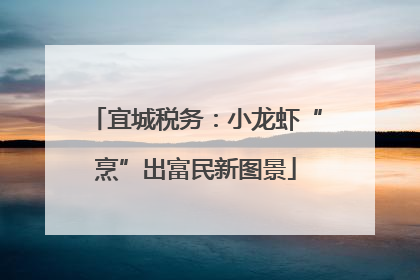 宜城税务:小龙虾“烹”出富民新图景