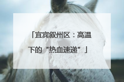 宜宾叙州区：高温下的“热血速递”