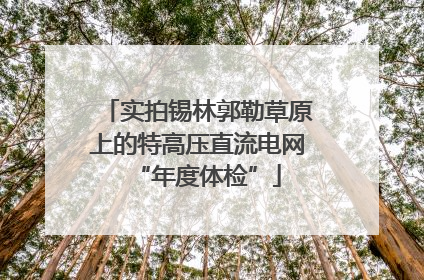 实拍锡林郭勒草原上的特高压直流电网“年度体检”
