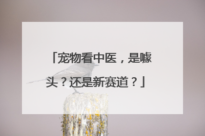 宠物看中医，是噱头？还是新赛道？