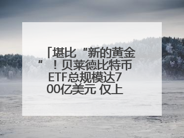 堪比“新的黄金”！贝莱德比特币ETF总规模达700亿美元 仅上市一年多
