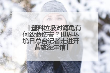 塑料垃圾对海龟有何致命伤害？世界环境日总台记者走进开普敦海洋馆