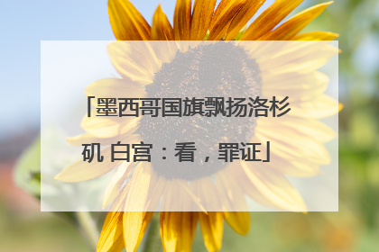 墨西哥国旗飘扬洛杉矶 白宫：看，罪证