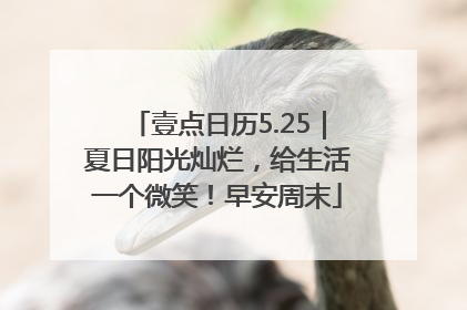 壹点日历5.25｜夏日阳光灿烂，给生活一个微笑！早安周末