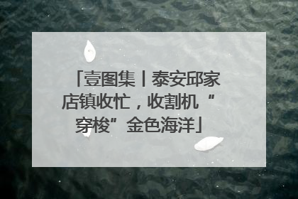 壹图集丨泰安邱家店镇收忙，收割机“穿梭”金色海洋