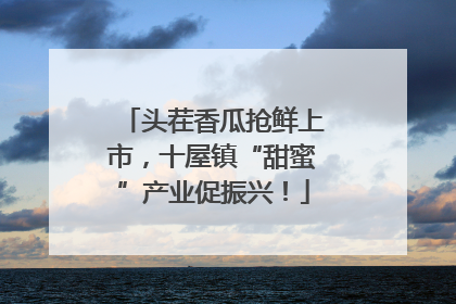 头茬香瓜抢鲜上市，十屋镇“甜蜜”产业促振兴！