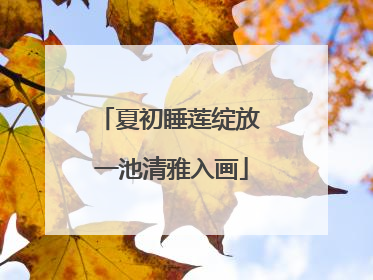 夏初睡莲绽放 一池清雅入画