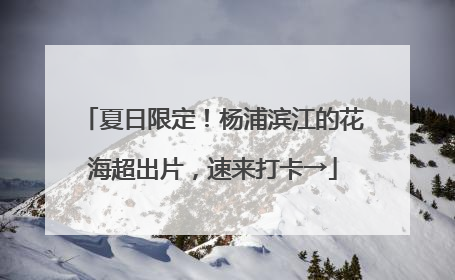 夏日限定！杨浦滨江的花海超出片，速来打卡→