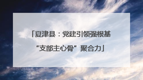 夏津县：党建引领强根基 “支部主心骨”聚合力