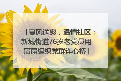 夏风送爽，温情社区：新城街道76岁老党员用蒲扇编织党群连心桥