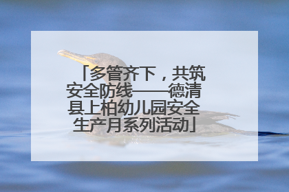 多管齐下，共筑安全防线——德清县上柏幼儿园安全生产月系列活动