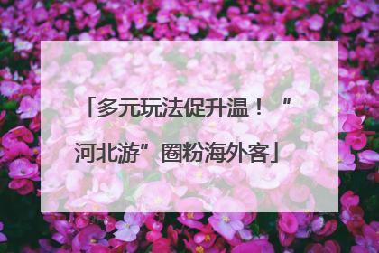 多元玩法促升温！“河北游”圈粉海外客