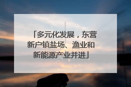 多元化发展，东营新户镇盐场、渔业和新能源产业并进
