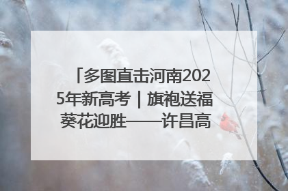 多图直击河南2025年新高考｜旗袍送福 葵花迎胜——许昌高考首日拉开帷幕