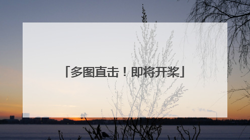 多图直击！即将开桨