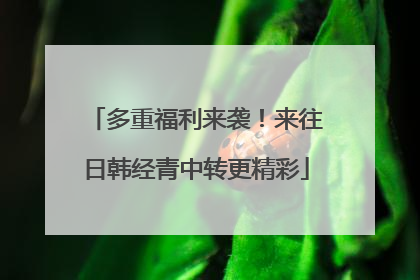 多重福利来袭！来往日韩经青中转更精彩