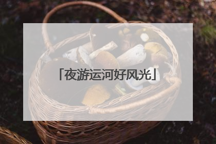 夜游运河好风光
