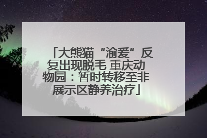 大熊猫“渝爱”反复出现脱毛 重庆动物园:暂时转移至非展示区静养治疗
