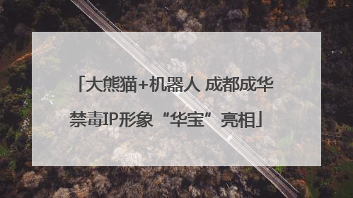 大熊猫+机器人 成都成华禁毒IP形象“华宝”亮相