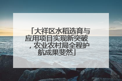 大祥区水稻选育与应用项目实现新突破，农业农村局全程护航成果斐然