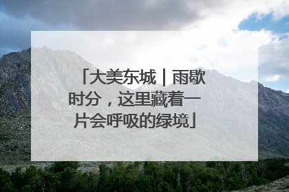大美东城｜雨歇时分，这里藏着一片会呼吸的绿境