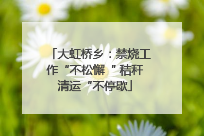 大虹桥乡：禁烧工作“不松懈“ 秸秆清运“不停歇
